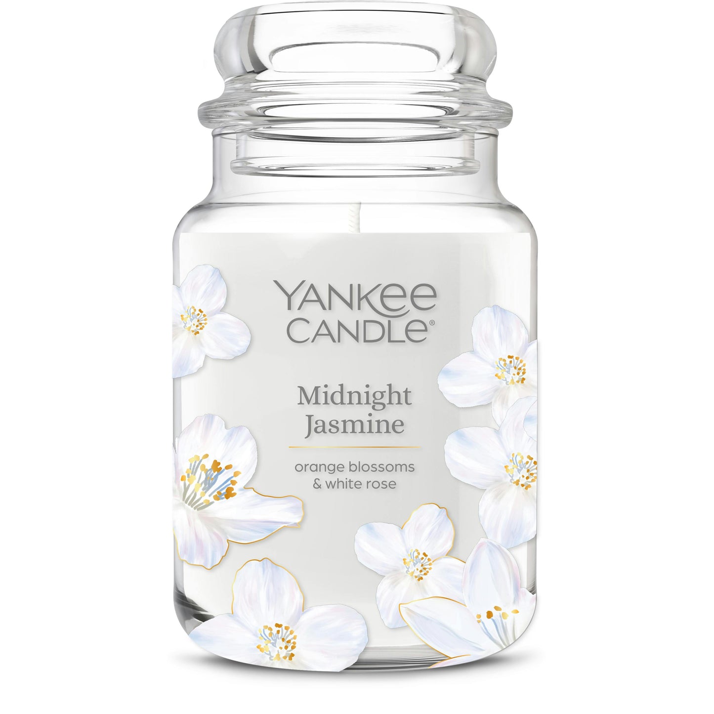 Midnight Jasmine SJXB