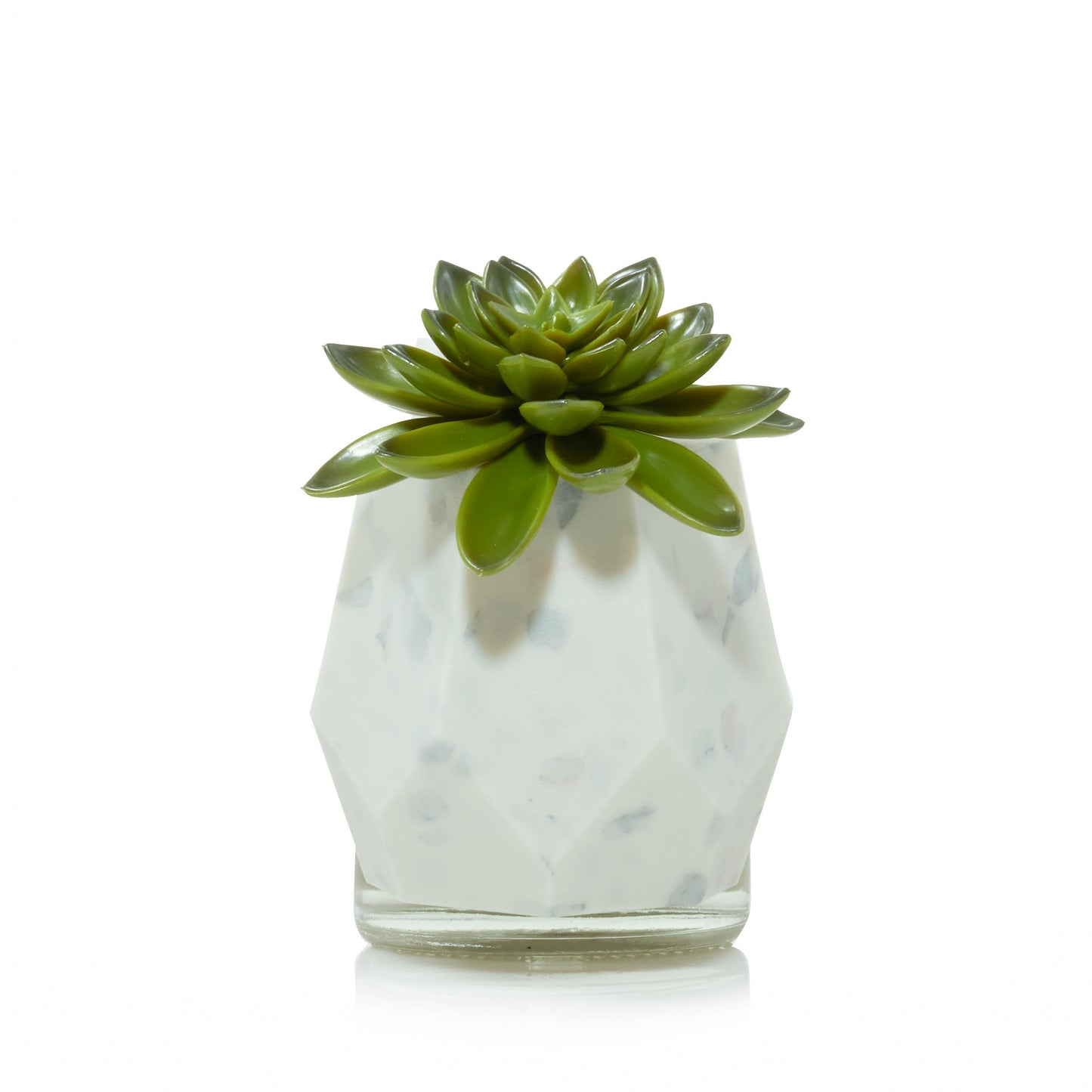 Faceted Succulent ScentPlug® Diffuser with Light FVE9