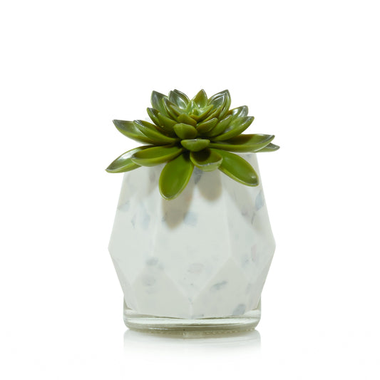 Faceted Succulent ScentPlug® Diffuser with Light FVE9